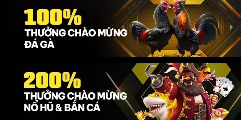 Các yếu tố quan trọng cần cân nhắc khi tham gia các chương trình khuyến mãi