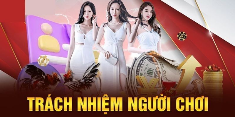 Tại sao cần chú ý tới trách nhiệm người chơi?
